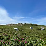 Norderhof Kliffsand 15